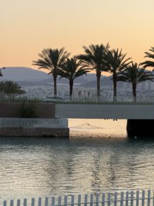 20250612_163044769_iOS